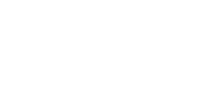 seagull logo